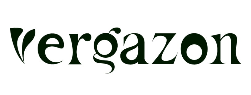 logo_site_vergazon